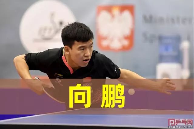 依赖年轻球 依赖年轻球