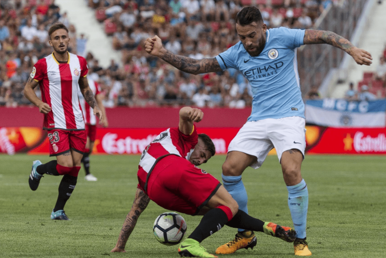 它们不仅为 它们不仅为